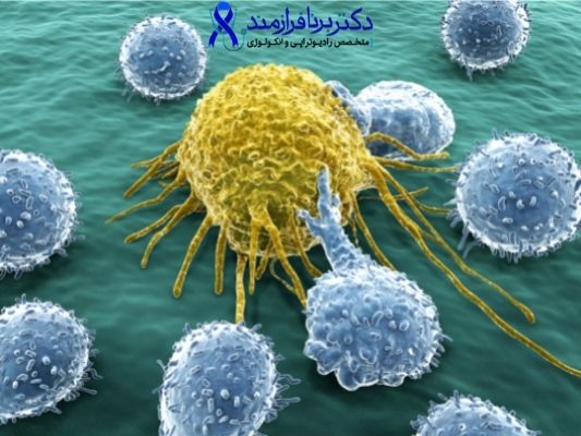 سلول سرطان و سلول‌های ایمنی بدن که به آن حمله می‌کنند