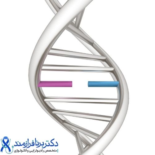 DNA، ژن، سرطان