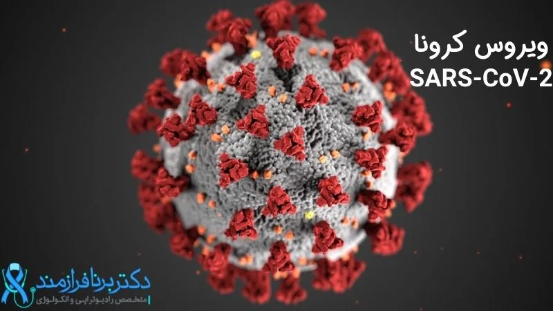 ویروس کرونا، SARS-CoV-2