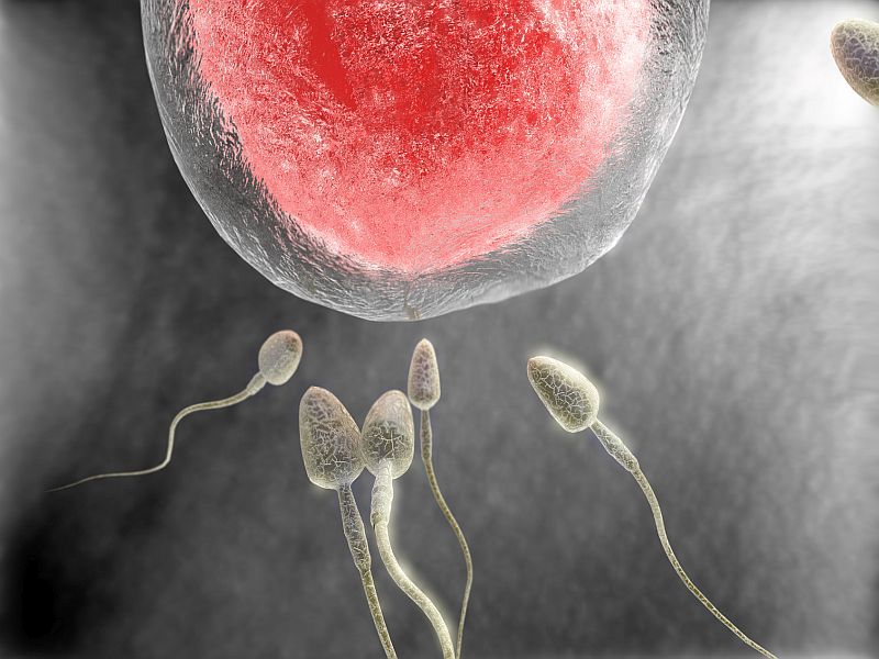 اسپرم، تخمک، حفظ باروری مردان در سرطان