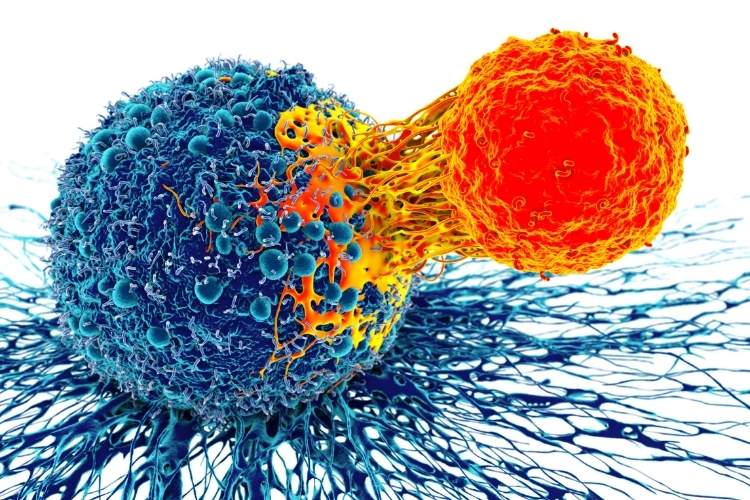 ایمونوتراپی، تقویت سیستم ایمنی برای مبارزه با سرطان